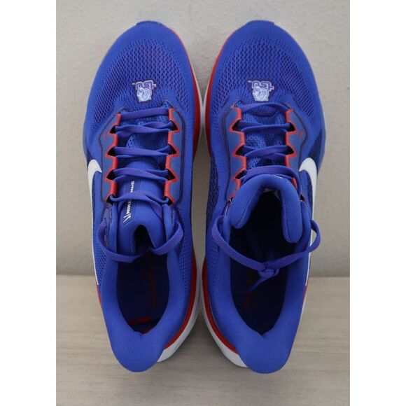 Nike FZ5146-400 Men's Sz 8 Blue Air Zoom Pegasus 41 Tennessee State Shoes - Picture 3 of 12